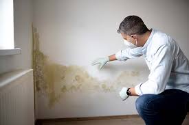 Professional Mold Inspection in Youngsville, NC